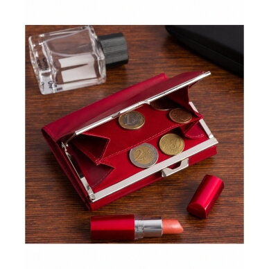 Odinė piniginė: Classic Clasp 8 Odinė piniginė: Classic Clasp 8
